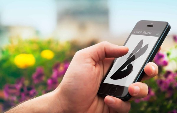 Les raisons de solliciter les services de d'un graphiste illustratrice à Bordeaux